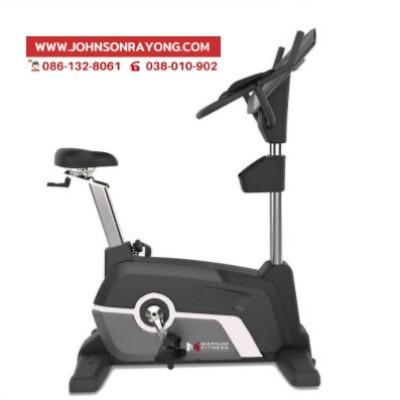 Upright Bike B010
